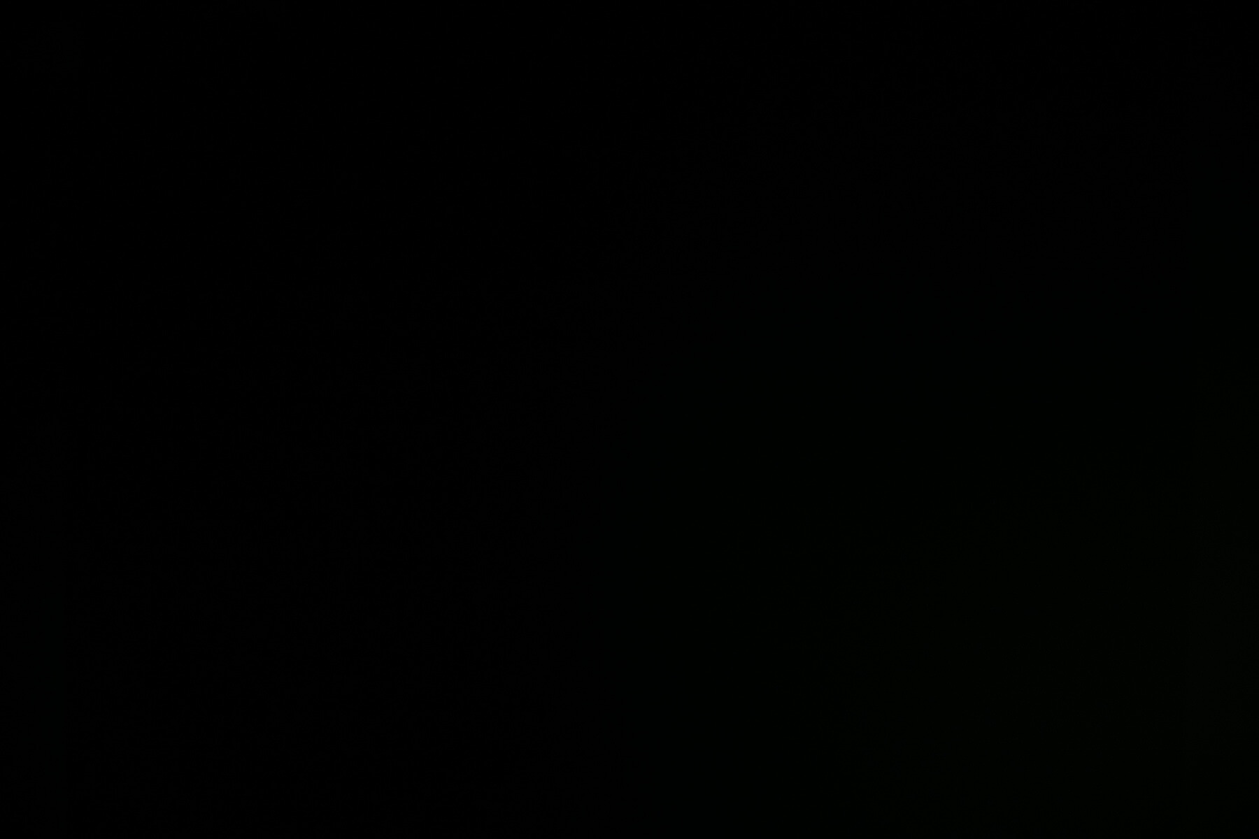 ReyLight Pineapple flashlight beamshots on ceiling