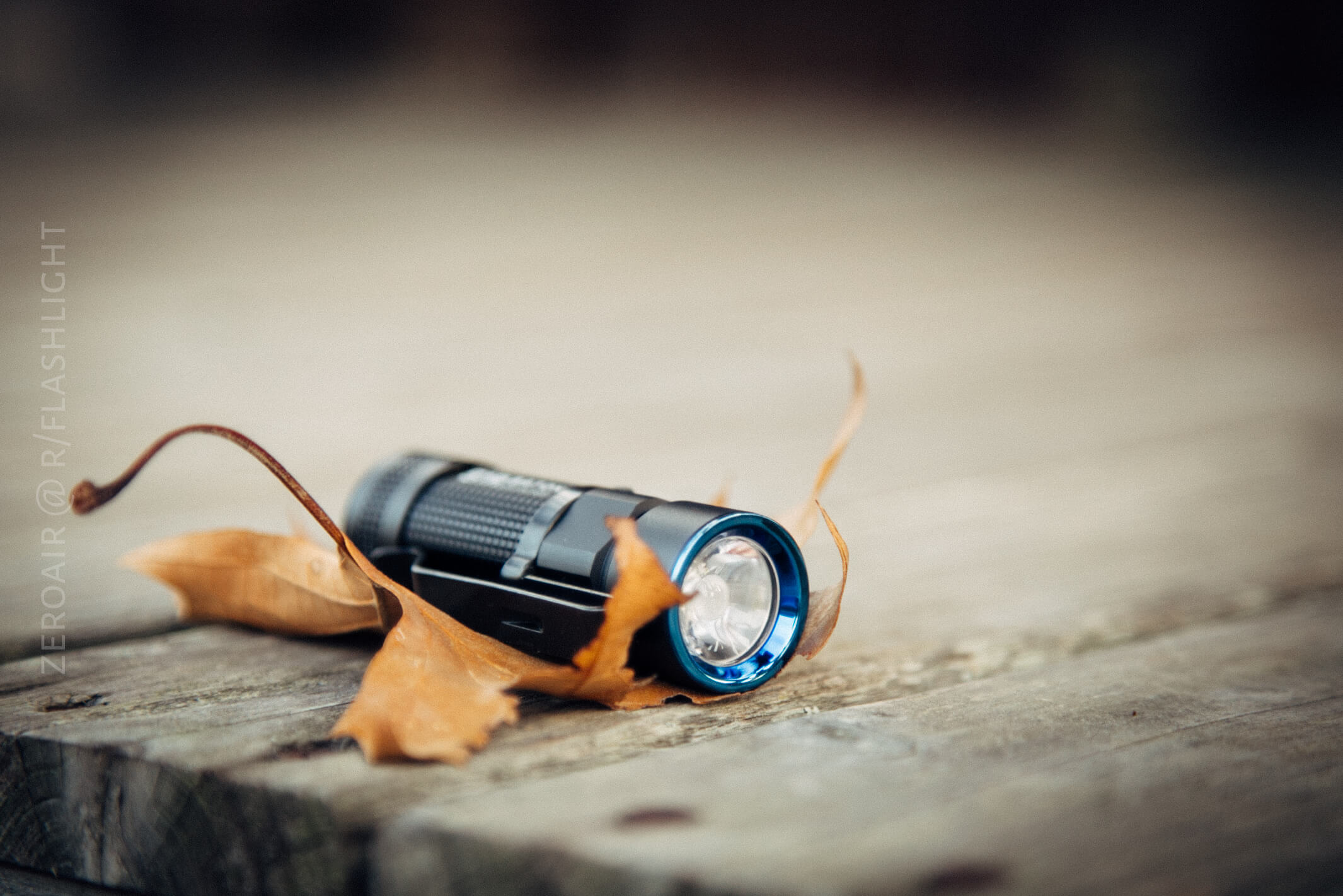 A small black flashlight with a blue rim resting on a wooden surface, partially covered by two dried brown leaves.