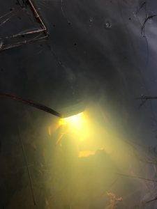 A submerged flashlight emits a bright yellow glow underwater, illuminating murky water with some visible debris and plant stems.