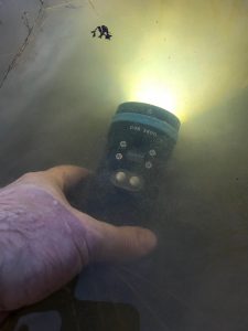 A hand holds a flashlight labeled “D36 5800” underwater, with the light switched on and illuminating the murky water around it. Thin branches and a small floating leaf are visible at the surface.