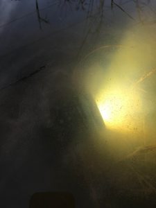 A beam of yellow light shines through murky water, illuminating floating debris and faint reflections on the surface. Some plant stems and shadows are visible above and below the water.