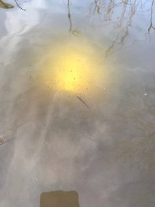 A yellow light is reflected on the surface of cloudy water, with some thin branches and scattered debris visible. The reflection gives a glowing effect in the center of the image.