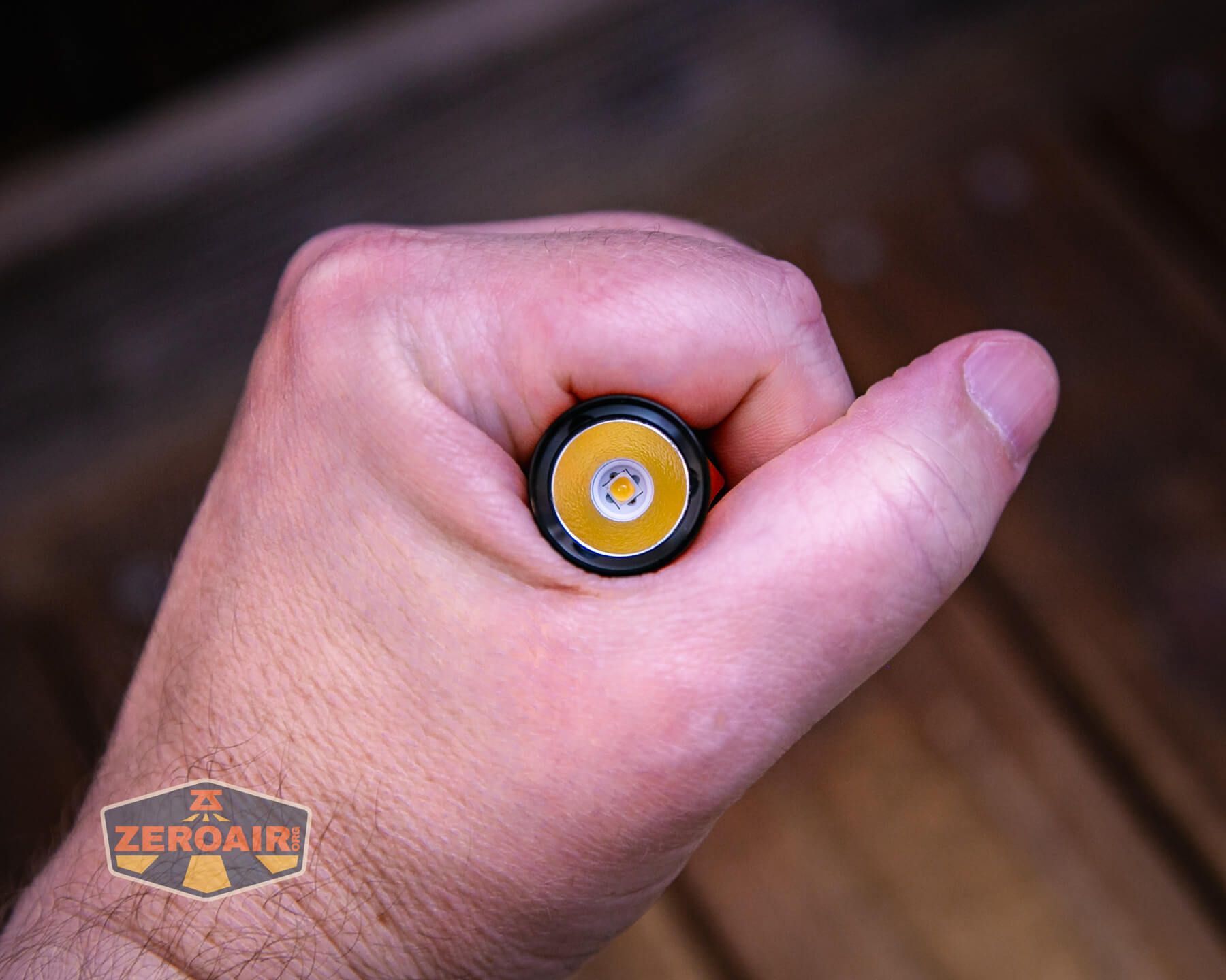 Skilhunt M150v4 Nichia 519a in hand